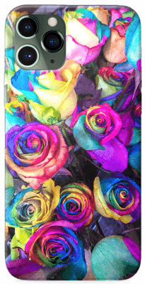 Colorful roses