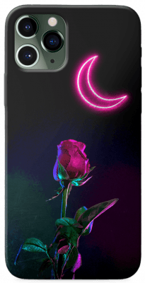 Pink moon & rose