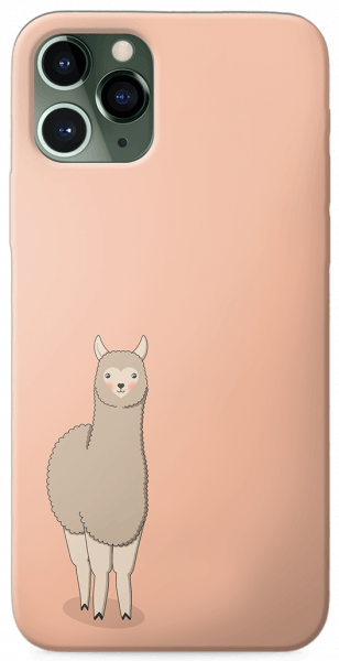 Llama